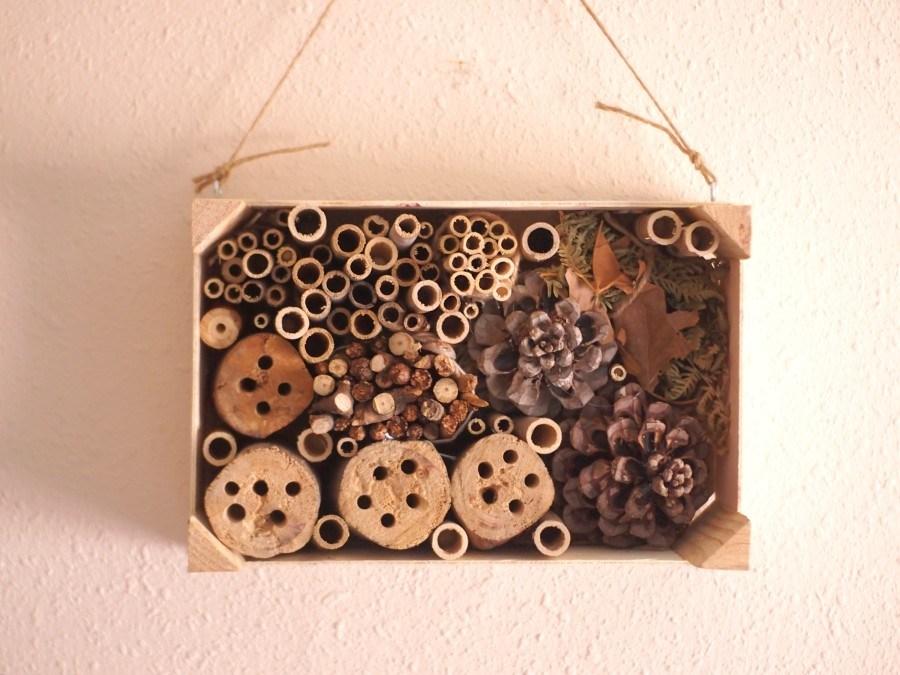 Foto del hotel de insectos en la caja de fresas de frente y colgado de una pared