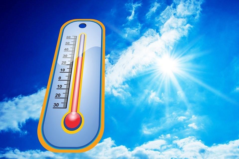 medidas para combatir el exceso de calor