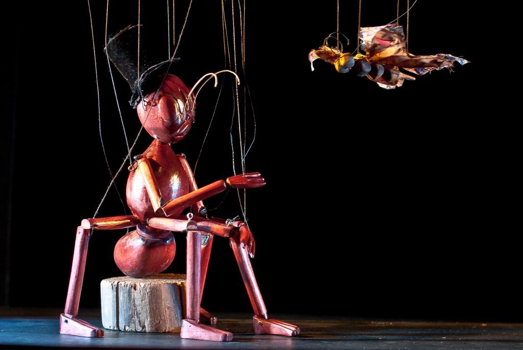 El-circo-de-los-insectos-famfest