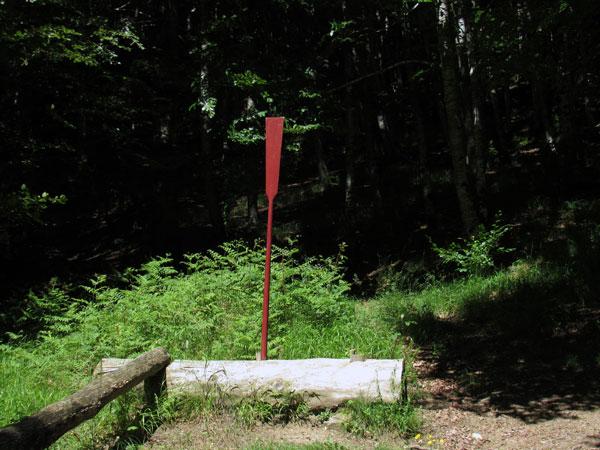 ¡Desde Barcelona venían a por la preciada madera de estos bosques!
