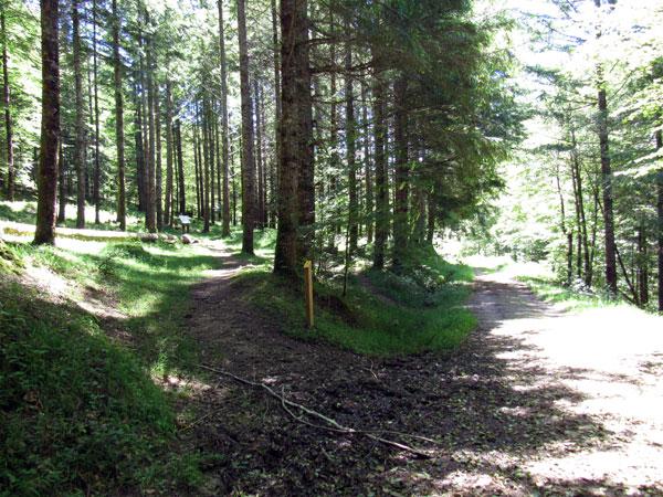 En cada punto de interés, una baliza del sendero nos avisa de ello