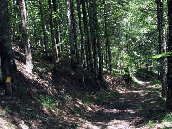 El sendero está perfectamente señalizado