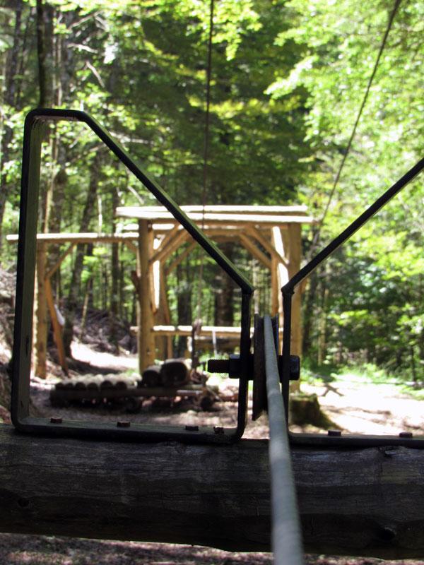 Porque lo complicado no era cortar el tronco, sino luego transportarlo...