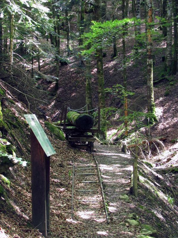 Y aquí el auténtico troncomóvil