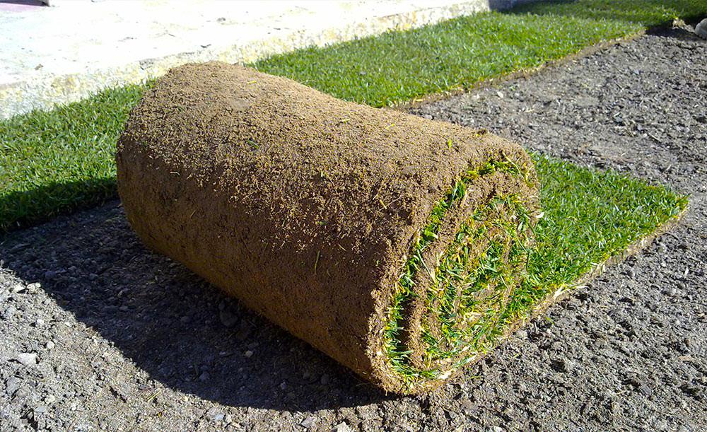 Mantenimiento de jardines Portal Jardin
