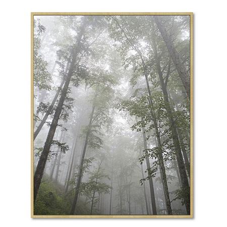 Energy Sistem Frame Speaker