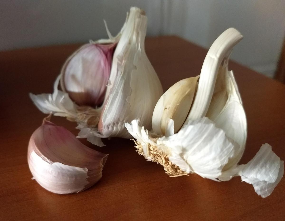 IMG_20190706_144812761