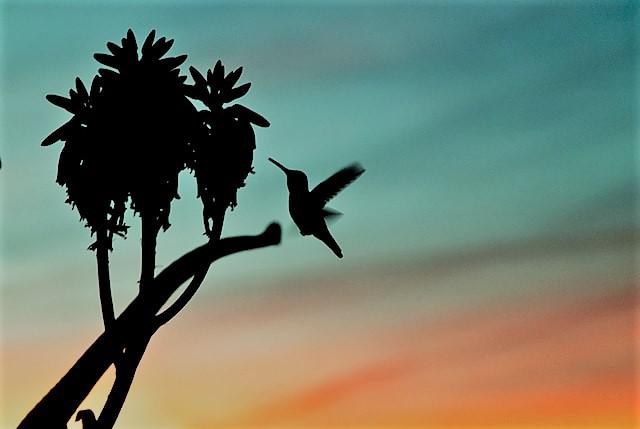 Como superar el miedo a volar en Madrid