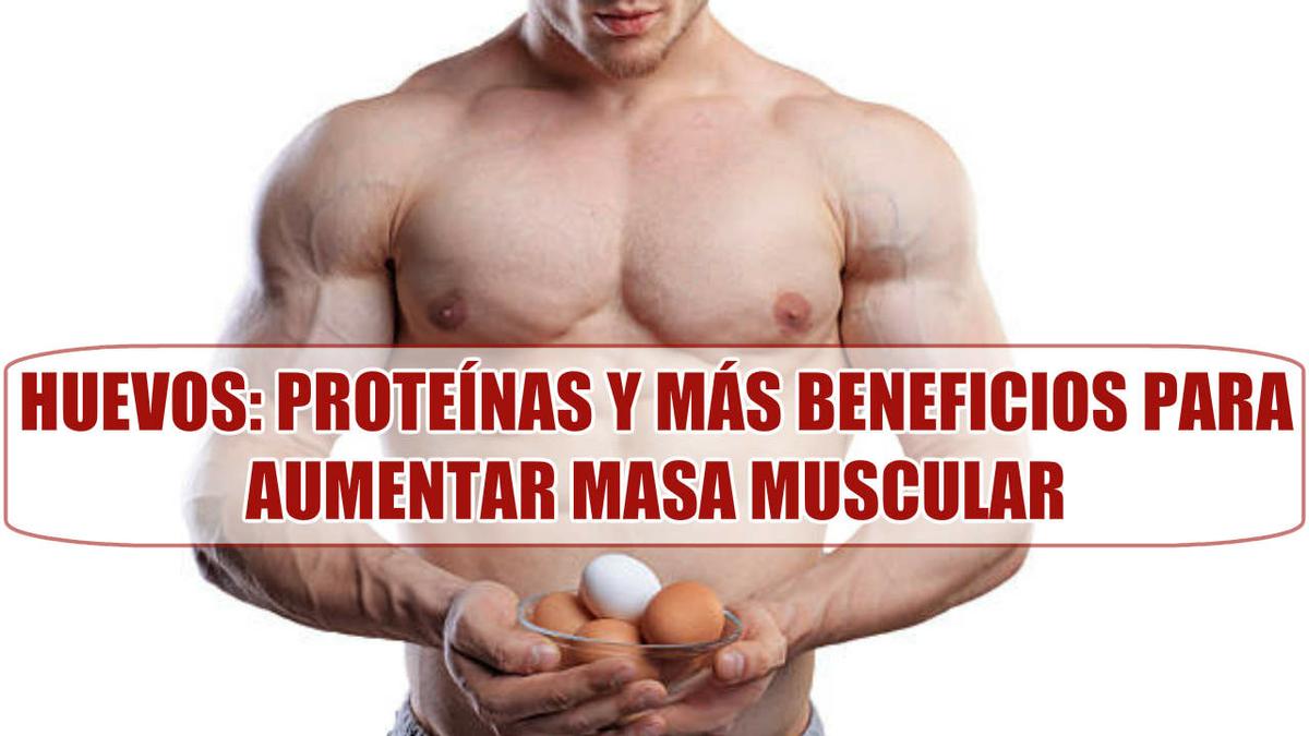 Huevos proteínas y beneficios para aumentar masa muscular