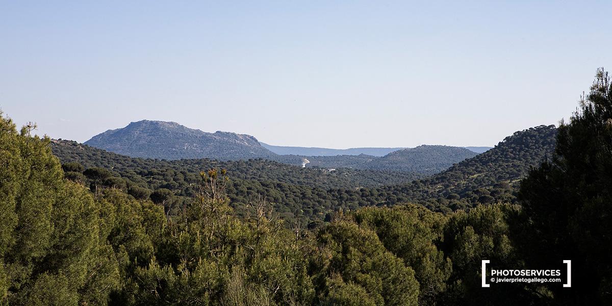 La gigantesca antena espacial de la Estación de Seguimiento y Adquisición de Datos de la NASA, que siguió la primera misión de alunizaje de la Historia, despunta entre los pinares de El Hoyo de Pinares. Pinares del río Sotillo. Ávila. Castilla y León. España. © Javier Prieto Gallego