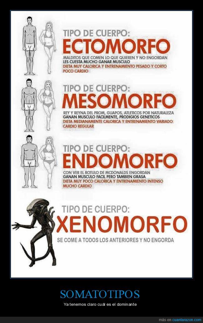 xenomorfo fitness