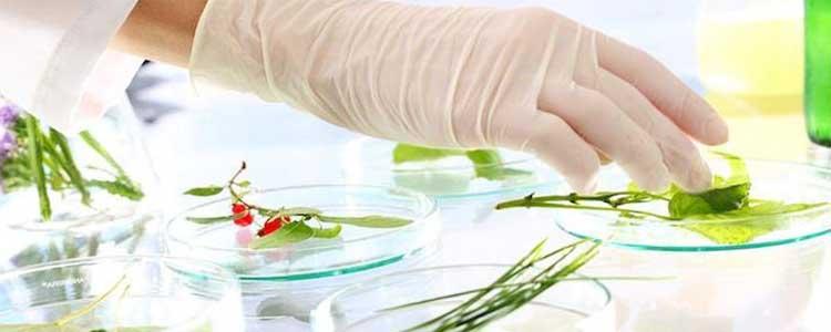 Bioestimulantes para aplicación en agricultura