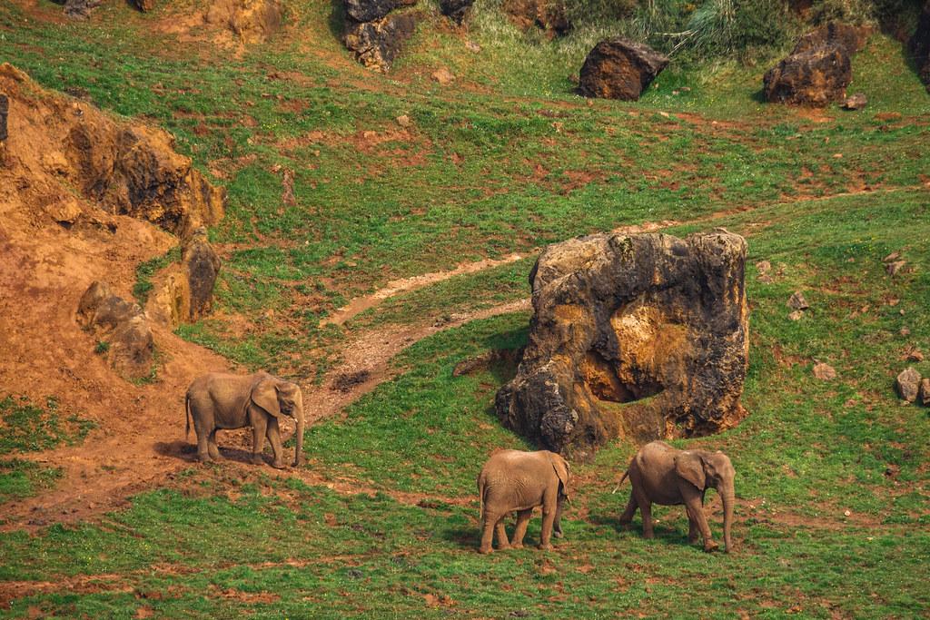 Parque de Cabárceno, Cantabria