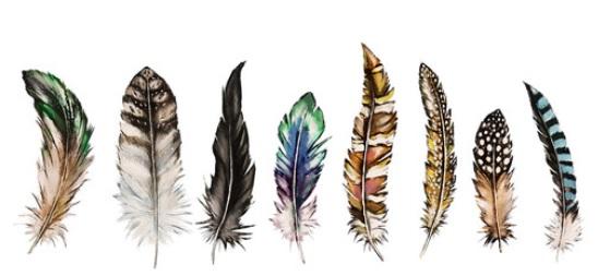 Tatuaje de plumas