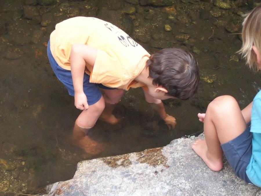 Niño buscando bichos en el lodillo de río