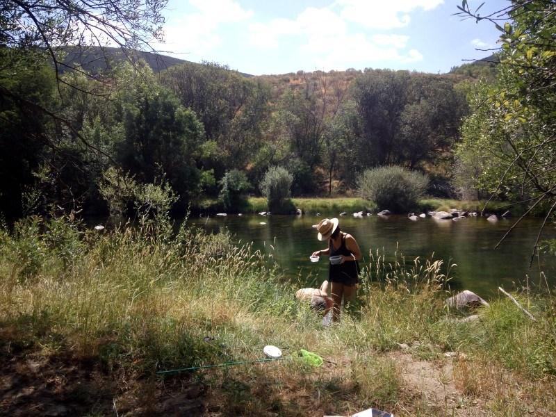 Recogiendo muestras en los contenedores y bichos en la orilla