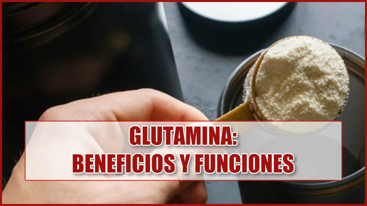 L-Glutamina: beneficios y funciones