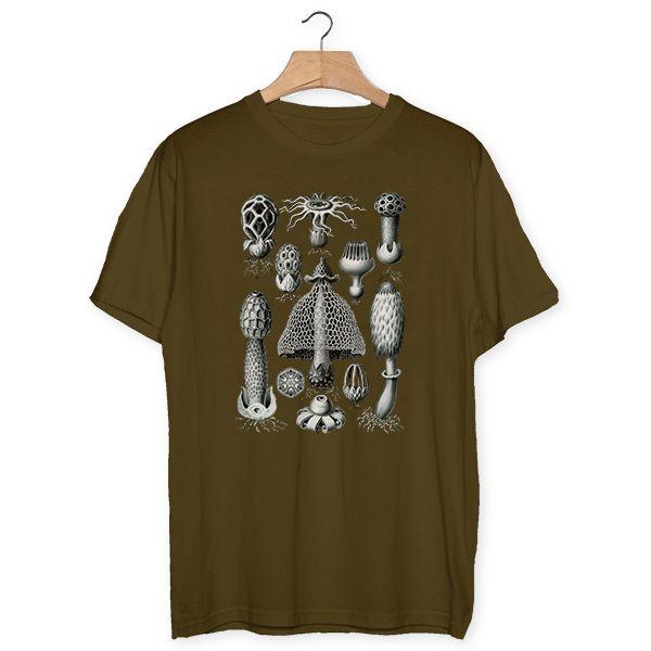 camiseta-haeckel-setas-caqui