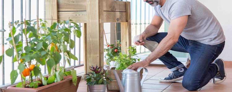 Huerto urbano en cerramientos acristalados