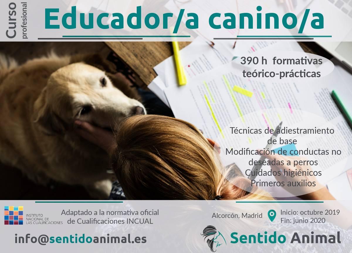 Curso profesional de Educador Canino