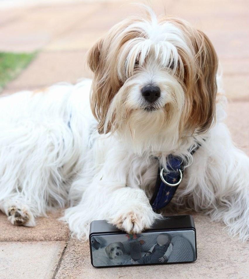 Altavoz personalizado