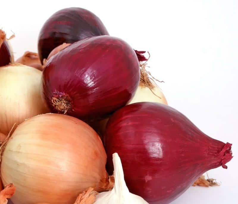 cebolla para el cabello