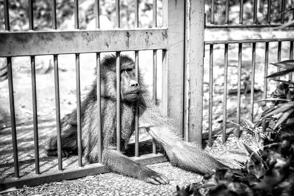 El día de decidí despedir a mi jefe. Conformarse no es una opción.