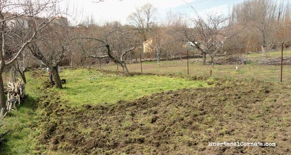 Primera pasada con al motoazada.