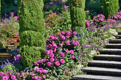 mainau_island_lake_constance_lake_stairs_view_water_summer-553350
