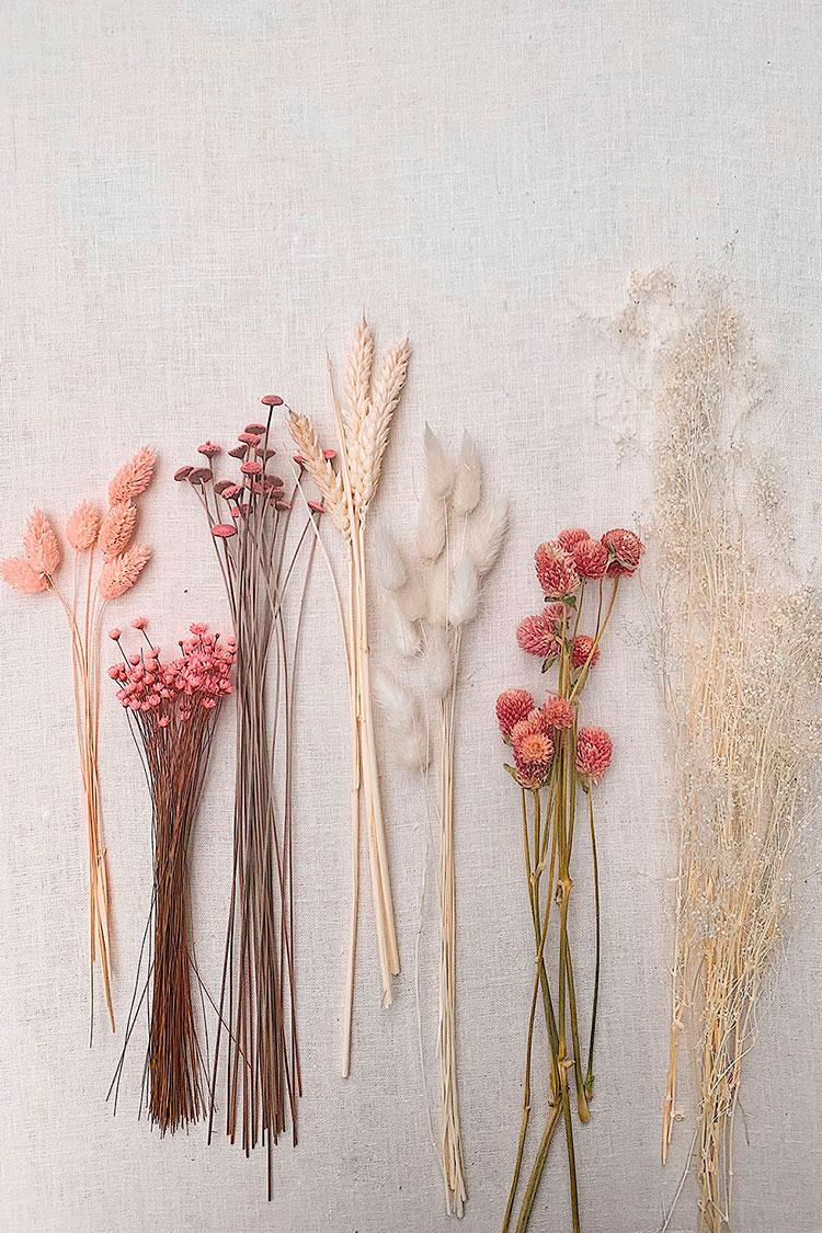 DIY-de-flores-secas-material
