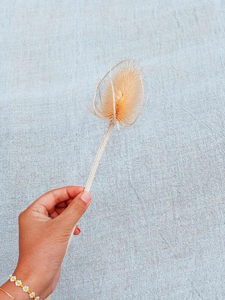 DIY-de-flores-secas-cardo