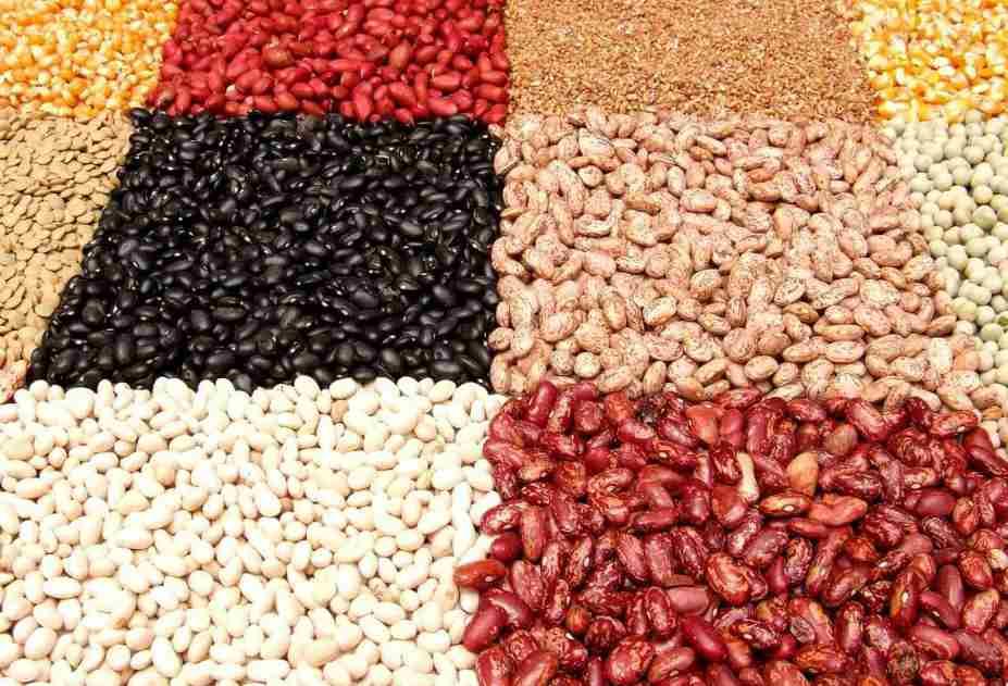 medicamentos para los gases