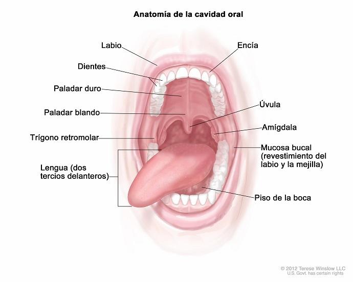 cáncer de boca