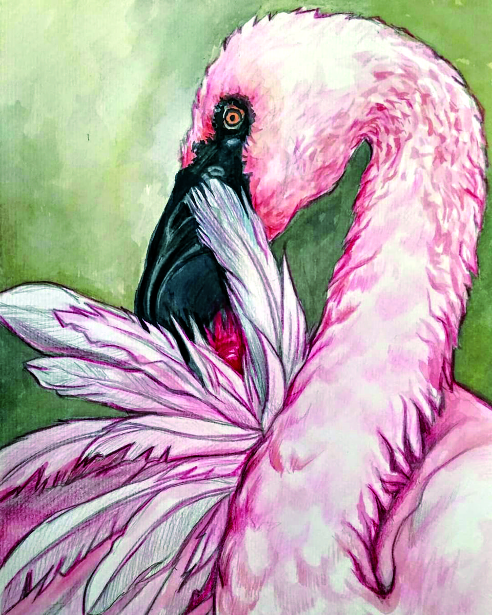 Entrevista a Mª Carmen Mordom de ICalle Ilustración. ilustraciones de Mª Carmen Mordom