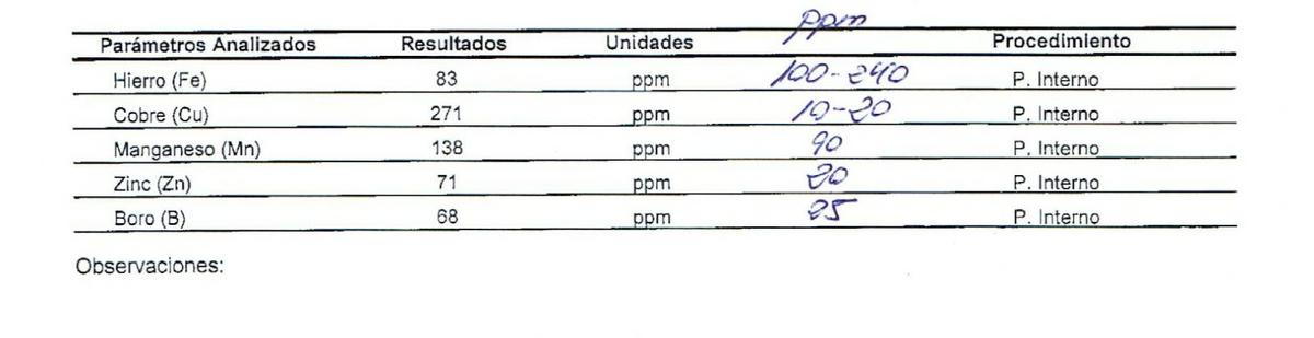 Exceso de cobre en berenjena