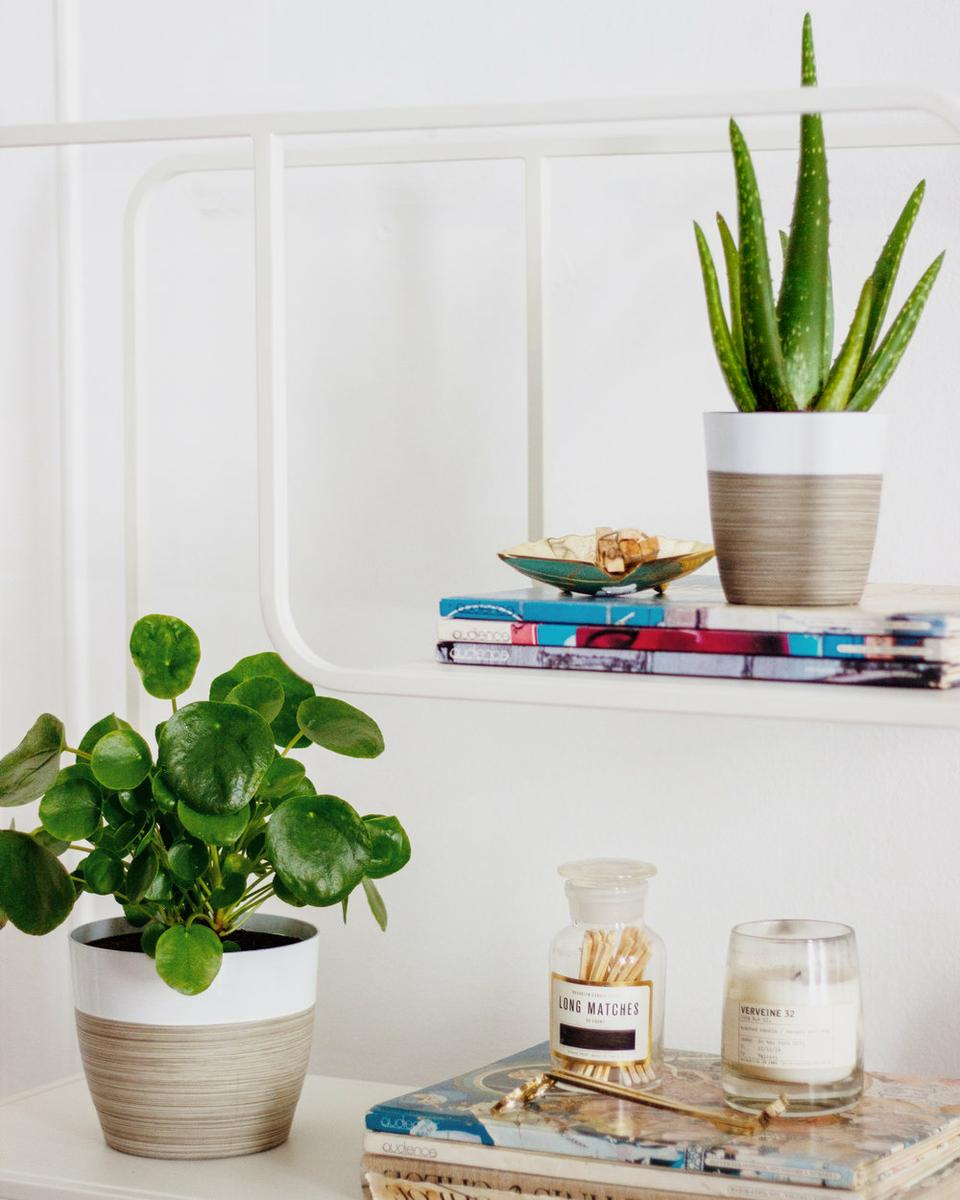 Processed with VSCO with m5 preset