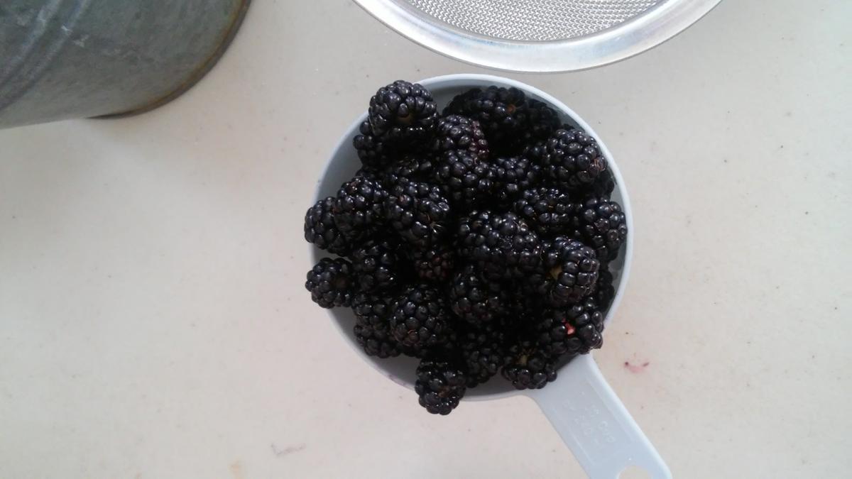 Bocaditos de mora y chocolate