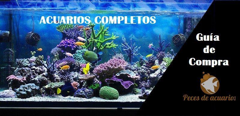 kit de acuario completo guía de compra