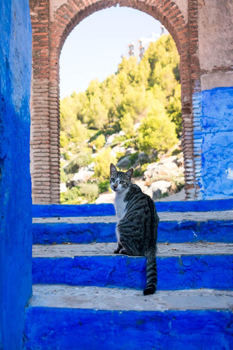 Viajar a Marruecos, chefchaouen