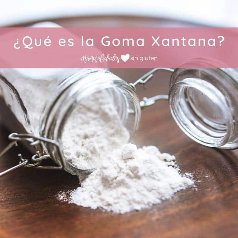 Qué es la goma xantana