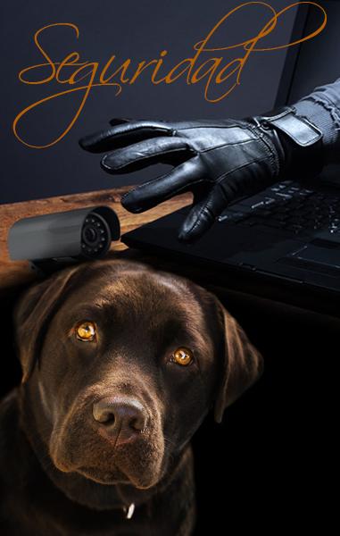 kit alarma hogar wifi, sistema de alarmas para casas, alarma virtual, kit alarma hogar, alarma laptop, alarmas inteligentes, Sistema de Alarma Inteligente xiaomi, kit seguridad xiaomi, xiaomi, alarmas wolf ward 2, domoticas.store, sistemá domotico de seguridad, seguridad domótica 2020, Timbres inteligentes, Cerraduras inteligentes, Cámaras inteligentes, Termostatos inteligentes, Luces inteligentes