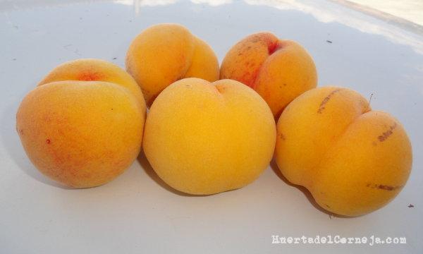Melocotones