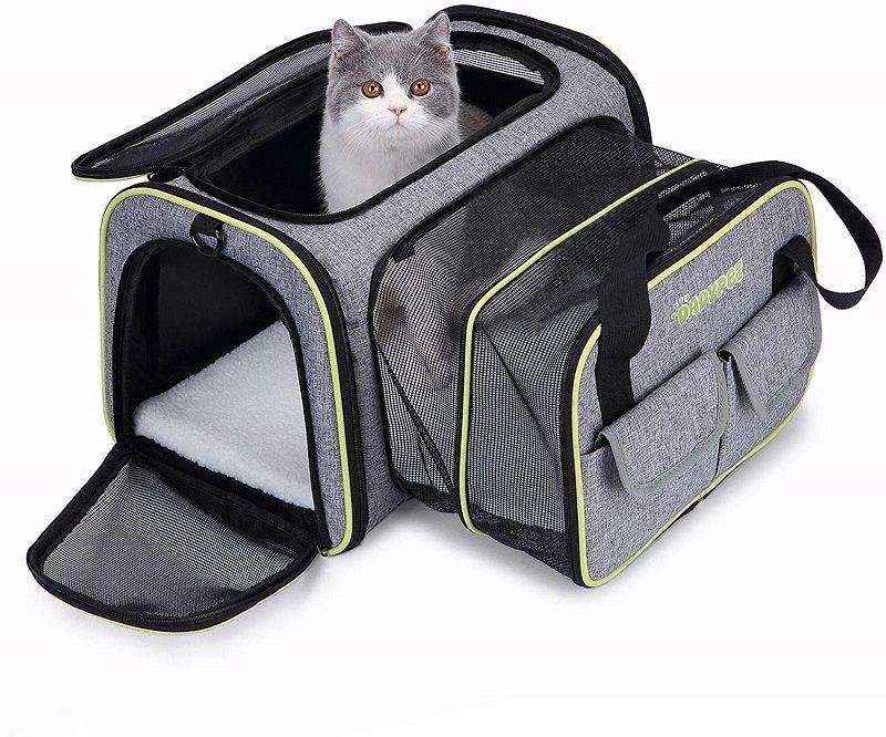 Mejores Transportines Para Gatos