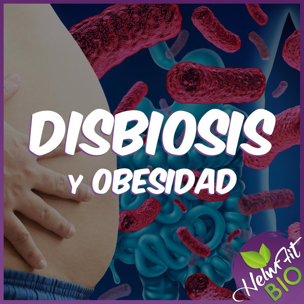 disbiosis_obesidad.jpg