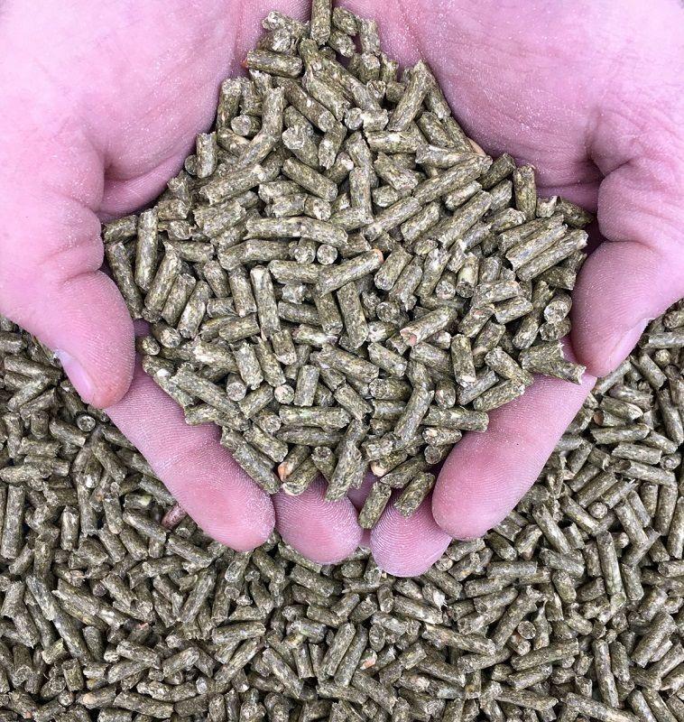 El Mejor Pienso Para Conejos