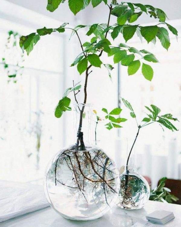 Jardines acuáticos de interior