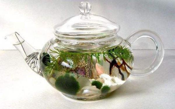 Recipientes originales para plantas