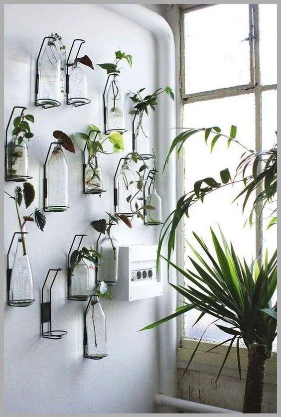 Jardines acuáticos de interior verticales