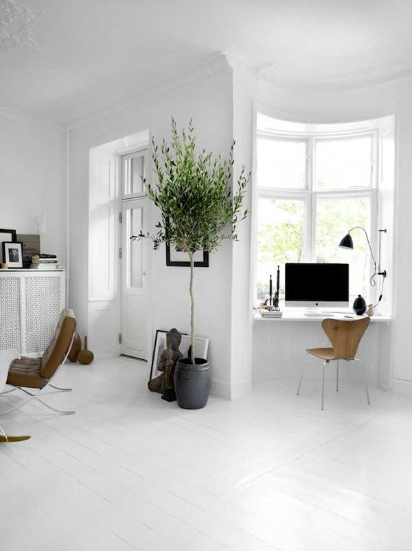 decorar tu casa con olivos