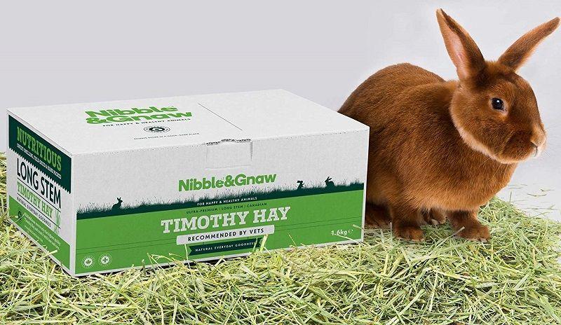 Mejores Henos Para Conejos